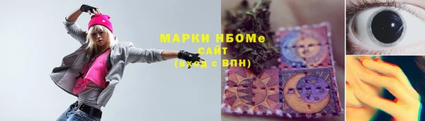 прущие грибы Абаза