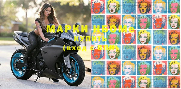 прущие грибы Абаза