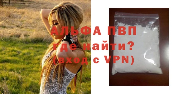 прущие грибы Абаза