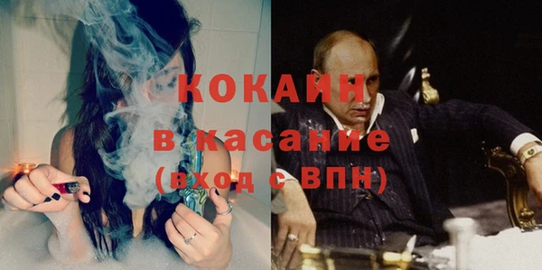 прущие грибы Абаза