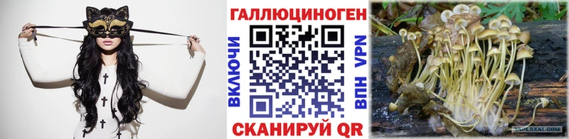 omg   закладки  Касли  Галлюциногенные грибы прущие грибы 