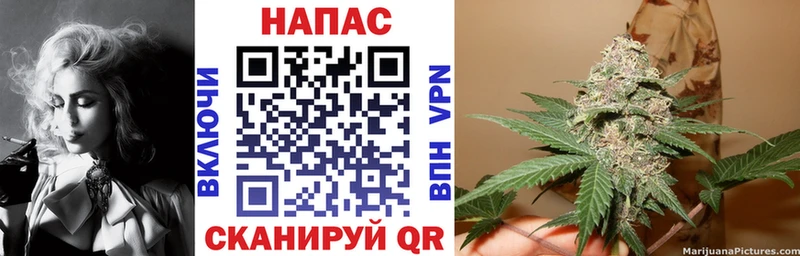 Бошки марихуана планчик  Касли 